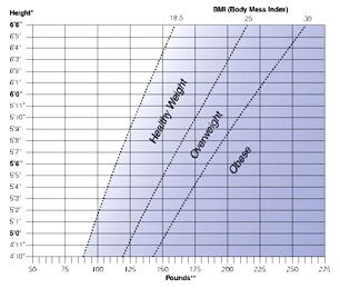 Body Mass Index (BMI) graph