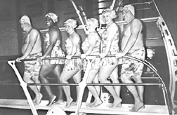 Photo of a group of large swimmers posing on a diving board